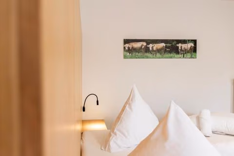 Braustüble und Hotel zur Post — foto 5