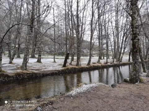 Casa da Avó Ana - Peroviseu - Serra da Gardunha - Serra da Estrela — foto 4