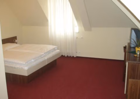 Hotel Altenberg — photo 6