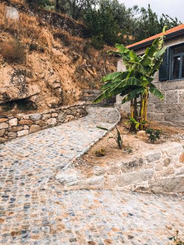 Quinta do Fojo Valonguinho, Barrô — photo 6