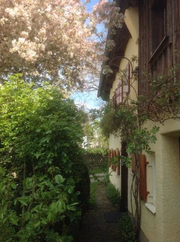 Landloft Haus Probst — foto 3