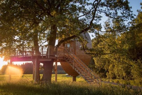 Ferienhof und Baumhaushotel — foto 4