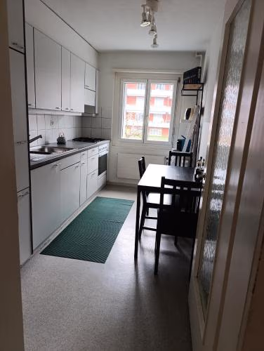ESC Basel Furnished Apartment — foto 7