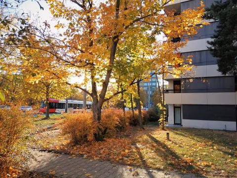 Central-Apt at Lake, CityCenter 5min, Fair 18min!!! — foto 2