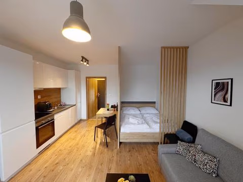 Apartmán EMA Demänovská Dolina -Pavčiná Lehota, Jasná , Aqvapark — foto 5