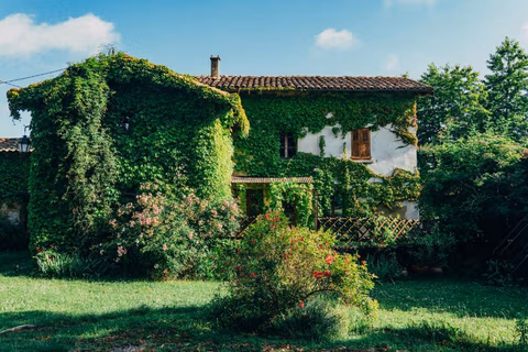 Une Pause Sur La Colline — foto 1