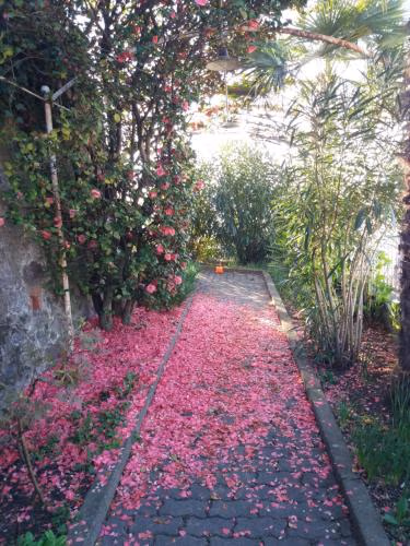 Novecento B&B — foto 6