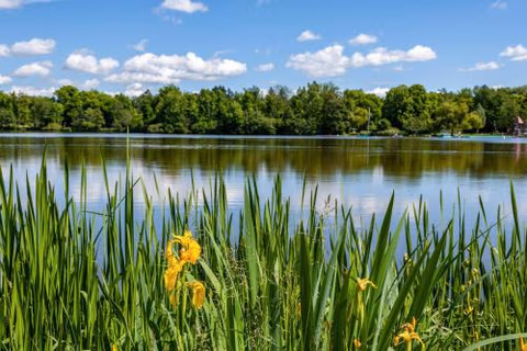 Fewo am Stadtsee - Bad Waldsee — foto 1
