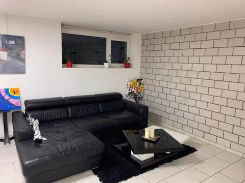 Basel - 5 mins away - Modern Basement Studio with Kitchen 35m2 in Muttenz — foto 4