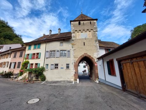 18th C Cottage near Basel, Hiking, Business, Couples, Families, Groups, Parking, Fast WiFi, Jura Mountains — foto 8