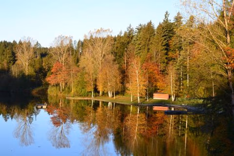 Hotel Waldsee — foto 8