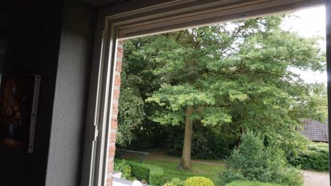 B&B aan het bos — photo 6