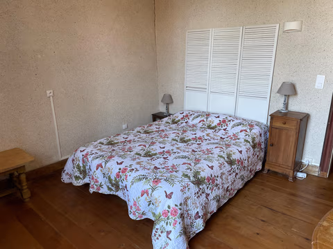 La P’tite Graine — foto 3
