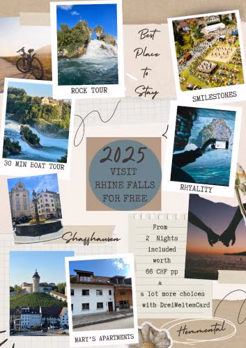 MARYS family friendly Apartments,VISIT RHINE FALLS for FREE if you stay 2 nights, SOHO 95m2 2-Bedrooms 2nd floor & SOUTH BEACH 105m2 3-Bedrooms & LOFT 115m2 3-Bedrooms Suite with Galerie,LOFT Netz 20m2, Pinball, Schaffhausen-Hemmental, Rheinfall 10 km — foto 2