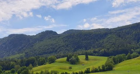 Hotel Gasthof Kreuz — foto 7