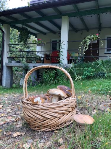 CHEZ YAYA Bogumiła Szeląg — foto 7