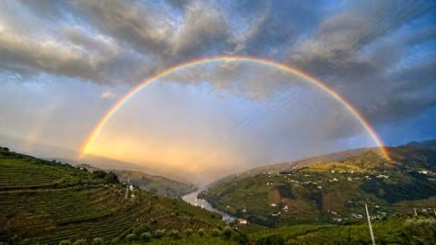 Casa Vale do Douro — photo 6