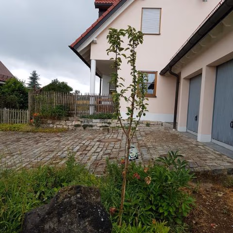 Jurasonne — foto 1