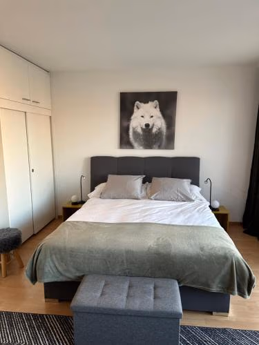 Appartement 1,5 pces — foto 4