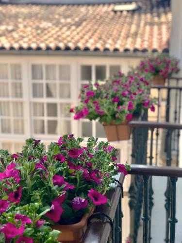 Casa Celsa-Barbantes — foto 6