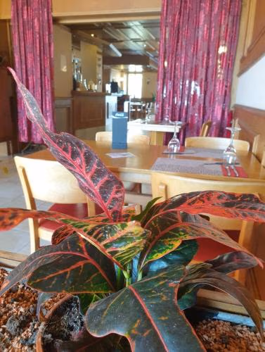 Hôtel Lion d'Or Romont — foto 7