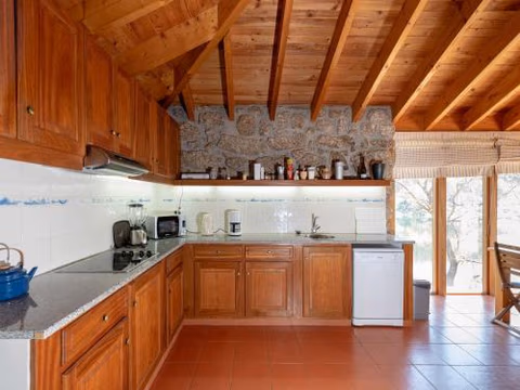 Mansion in Dão Valley by River Beach — photo 4