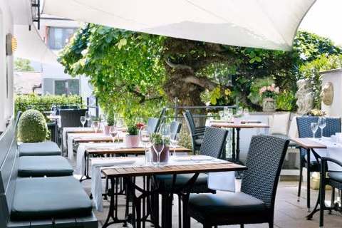 Hotel Guter Tropfen — foto 3