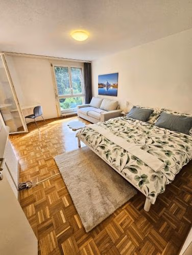 Premium Apartment mit Pilatus Sicht — foto 1