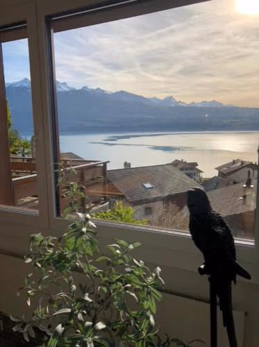 Merligen 15 min to Interlaken Seeblick — foto 9