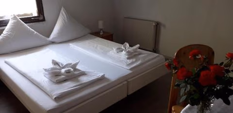 Hotel Schweizer Hof — foto 3