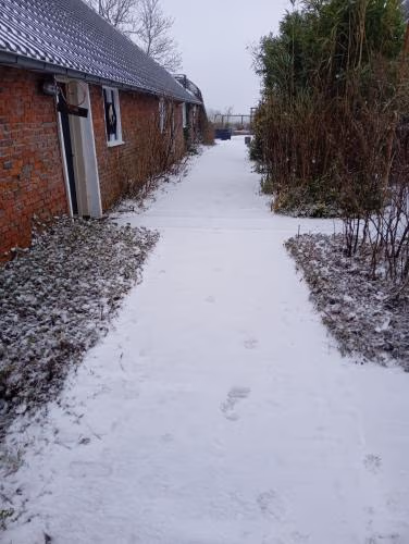 Boerderij De Diek'n — foto 2