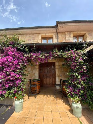 Hotel Vijanera — foto 4