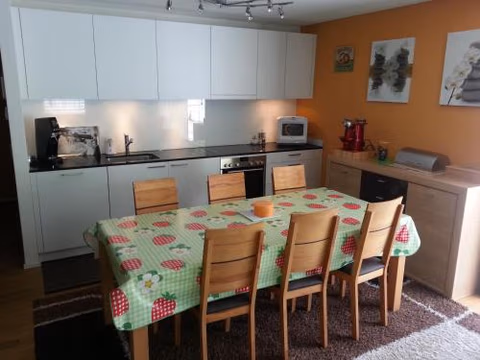 Realp-Andermatt 3,5 locali giardino privato In mezzo la natura, spettacolare per appassionati montanbike, pesca ecc In inverno fai sci di fondo dal giardino e con il treno davanti a casa si raggiunge in 5min il comprensorio scistico di Andermatt — foto 2
