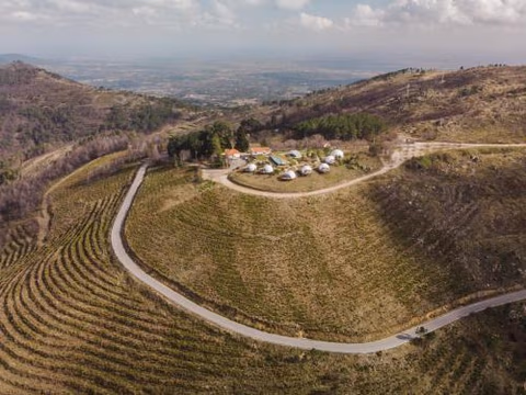 Natura Glamping — photo 5