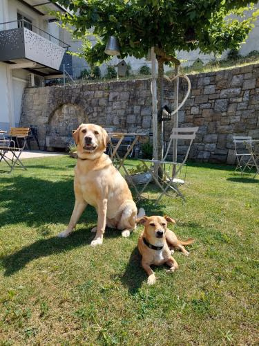 Emma's B&B LUNGERN - Self Check-in Hotel — foto 3