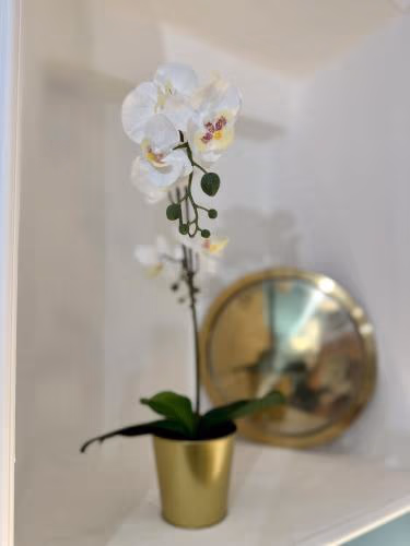 Aquarium Exclusive Loft - Private Parking — foto 9