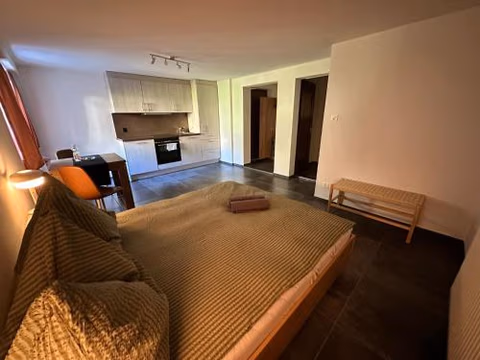 Hotel Krone — foto 2