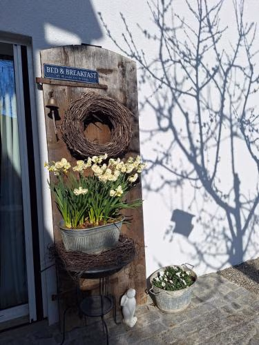 Filipponi's Träumli — foto 4