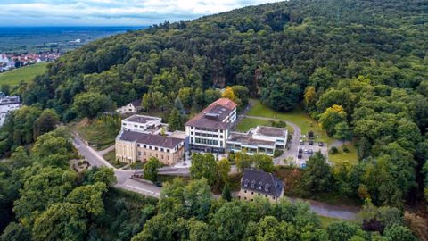 Kloster Neustadt — foto 1