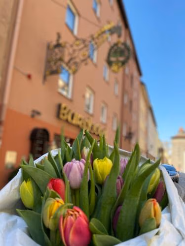 Burghotel Nürnberg — foto 2