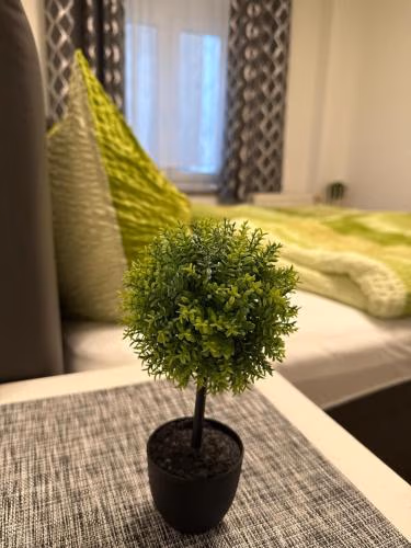 Fine Ferienwohnung in City — foto 7