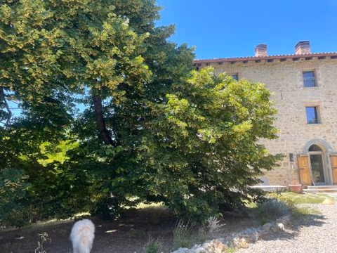 Oasi Acquafresca — foto 9