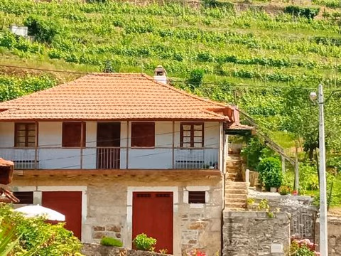 D. Maria São Pedro de Balsemão — foto 2