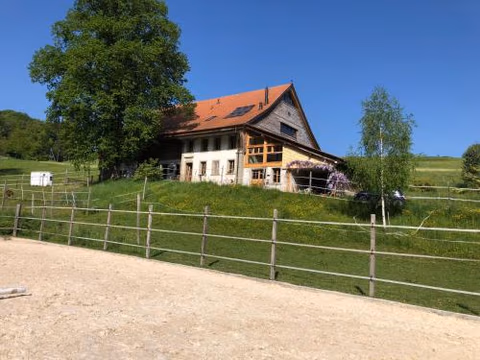 Sérénité et nature dans une ferme équestre - studio familial — foto 1