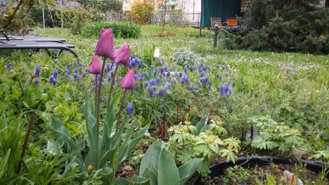 B&B Kalimera Pratteln — foto 8