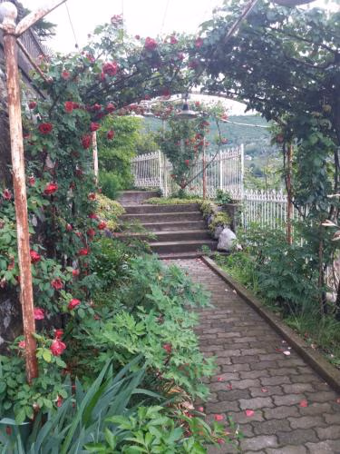 Novecento B&B — foto 8