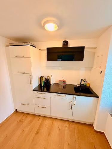 Ferienwohnung direkt am Bodensee / Untersee nahe Konstanz — foto 6