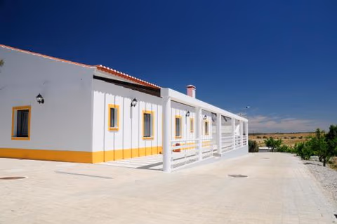 Corvos e Cadavais — photo 1
