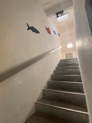 Eskama Hostel — foto 3