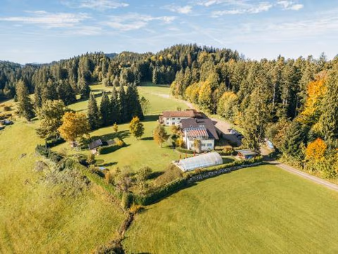 Ferienwohnungen Appartements Bergwald — foto 4